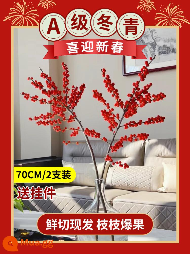 Inch Hoa Vàng Cây thủy canh Forsythia Cành khô Cắm hoa Phòng khách Cành tươi Thủy canh Hoa tươi cắt đêm giao thừa - Nhựa ruồi đỏ cao cấp loại A 70cm/2 cái + mặt dây chuyền