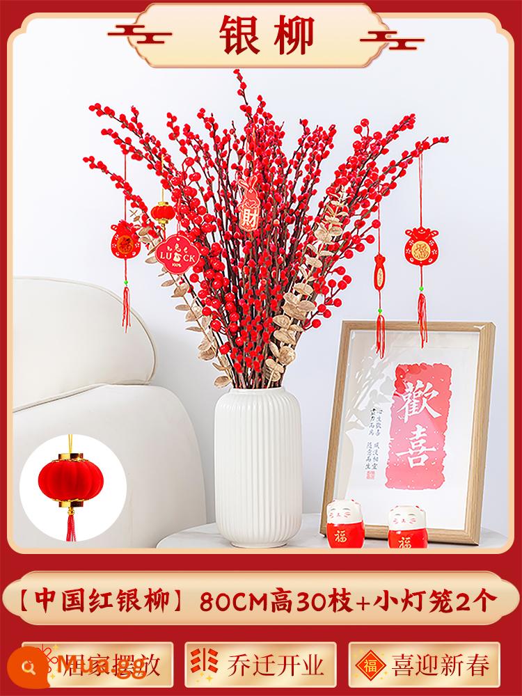 Inch Hoa Vàng Cây thủy canh Forsythia Cành khô Cắm hoa Phòng khách Cành tươi Thủy canh Hoa tươi cắt đêm giao thừa - Cây liễu bạc loại A cao 80cm 30 cành + 2 chiếc đèn lồng nhỏ