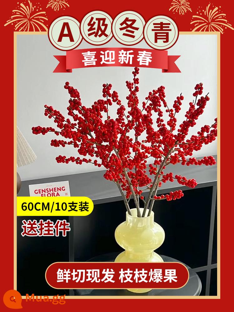 Inch Hoa Vàng Cây thủy canh Forsythia Cành khô Cắm hoa Phòng khách Cành tươi Thủy canh Hoa tươi cắt đêm giao thừa - Nhựa ruồi đỏ cao cấp loại A 60cm/10 miếng + mặt dây chuyền