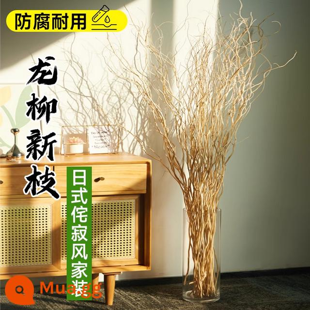 Cây thủy canh Rồng Liễu cành tươi cắt hoa thủy canh wabi-sabi gió cây xanh nandina tre tuyết liễu cành khô chuông treo trong nhà chậu cây - Wabi-sabi Wind - Cây liễu rồng khô cành cao 1,2 mét, 50 cành miễn phí 2 cành [hiển thị vĩnh viễn]