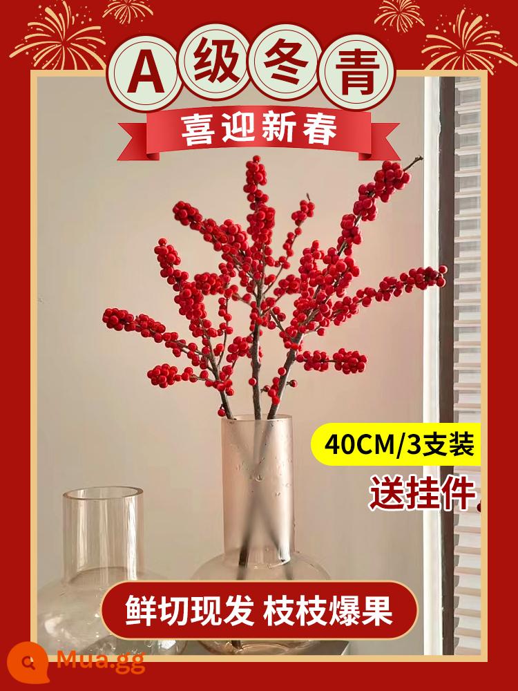 Inch Hoa Vàng Cây thủy canh Forsythia Cành khô Cắm hoa Phòng khách Cành tươi Thủy canh Hoa tươi cắt đêm giao thừa - Nhựa ruồi đỏ cao cấp loại A 40cm/3 miếng + mặt dây chuyền