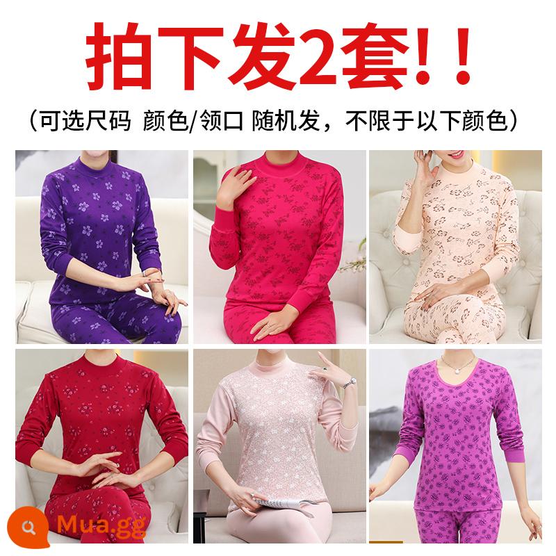 Nhung bắc cực trung niên và cao tuổi quần áo mùa thu vệ sinh quần phù hợp với phụ nữ cotton nguyên chất người cao tuổi áo len bông phụ nữ sưởi ấm quần áo đáy bông - [2 bộ với giá 45 nhân dân tệ] Giải phóng mặt bằng đặc biệt, giới hạn thời gian, chỉ dành cho mặt hàng này