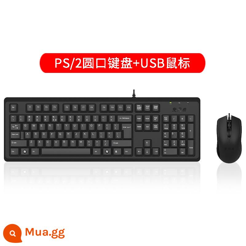 Chính thức bán hàng trực tiếp Shuangfeiyan KR-9276usb bộ bàn phím chuột có dây bộ phím chuột văn phòng máy tính - Bàn phím tròn PS/2 + chuột USB