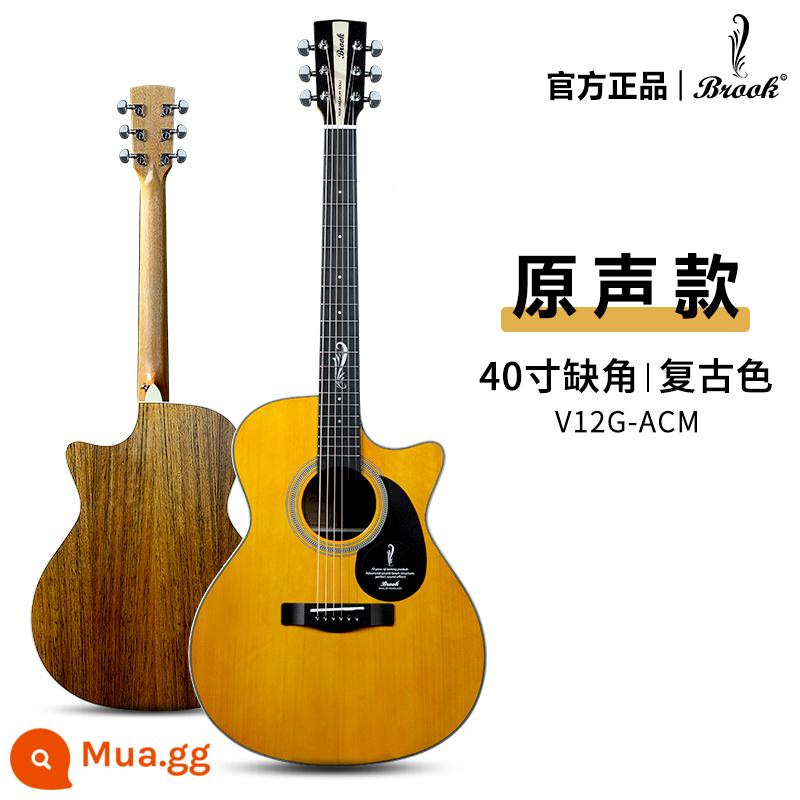 Brook brook guitar V12 ballad người mới bắt đầu chính hãng chính thức hàng đầu cửa hàng hộp điện veneer 36 inch s25 - [V12 Matte] Màu retro 40 inch