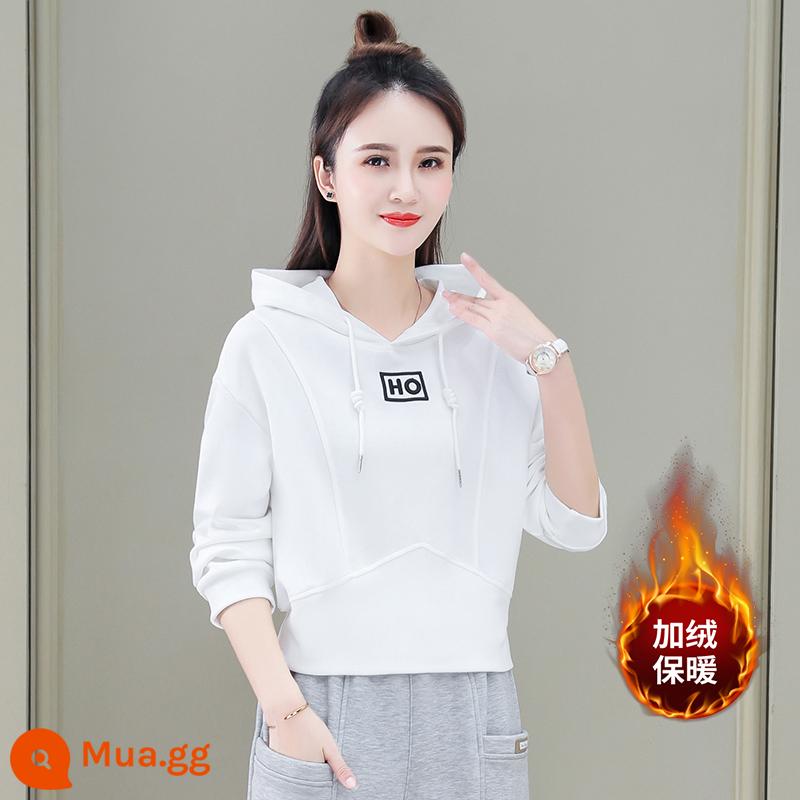 Bộ đồ thể thao nữ xuân thu 2022 mới cotton dày T nhỏ thời trang nước ngoài phong cách Châu Âu 2 mảnh phù hợp 2023 - Trắng (áo nỉ) (cộng với nhung)