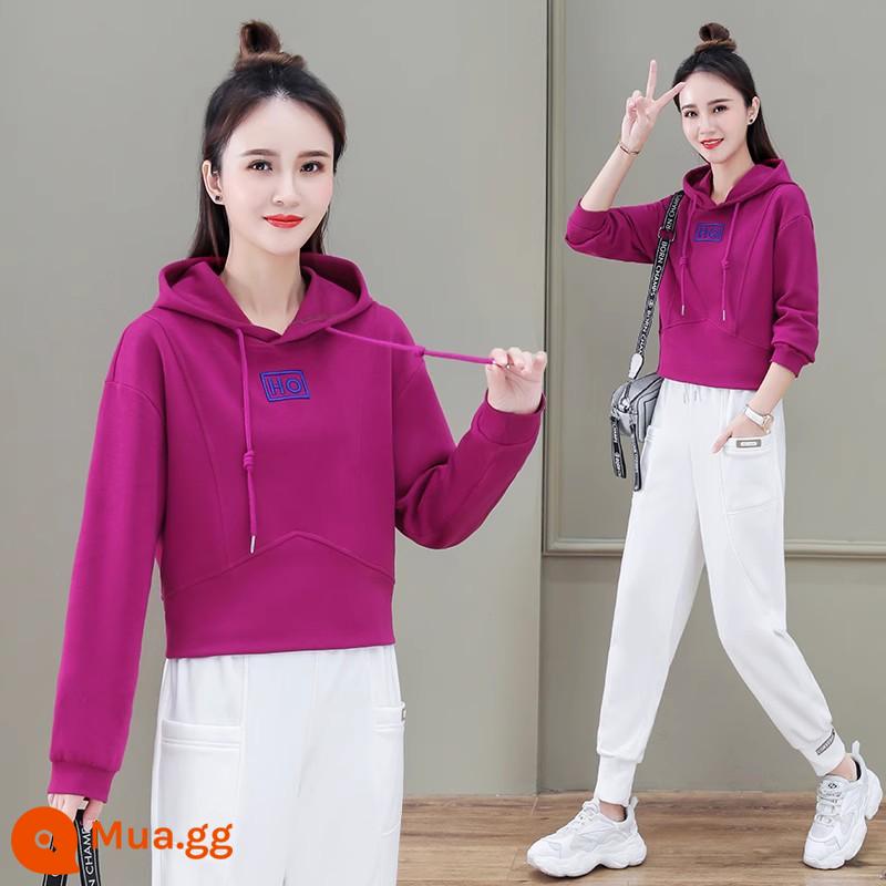 Bộ đồ thể thao nữ xuân thu 2022 mới cotton dày T nhỏ thời trang nước ngoài phong cách Châu Âu 2 mảnh phù hợp 2023 - Màu thanh long (bộ)