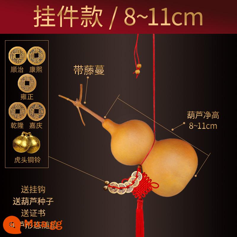 Quả Bầu Trang Trí Ngũ Hoàng Tiền Đồ Trang Trí Từ Cửa Đến Cửa Mở Tự Nhiên Nguyên Chất Vòi Dây Xoắn Tay Phòng Khách Nút Thắt Lớn Của Trung Quốc Bầu - Mẫu mặt dây chuyền 8-11cm (có vòi)