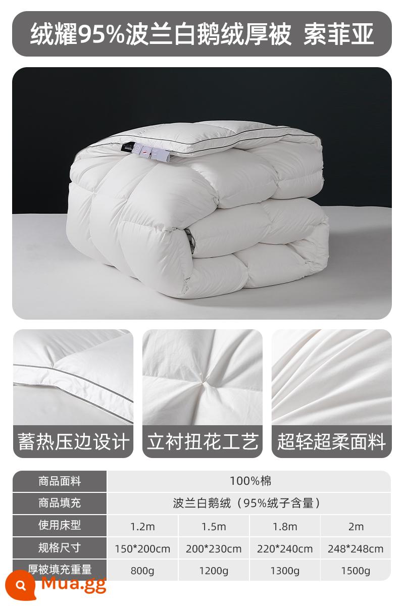 Mengjie Space Down Quilt 95 chăn bông ngỗng trắng chăn mùa đông dày dặn và ấm áp ký túc xá sinh viên lõi chăn máy lạnh đơn và đôi - Chăn dày mùa đông [Lông ngỗng trắng 95% Ba Lan nhập khẩu + vải cotton chải kỹ 100 sợi + công nghệ chống mạt im lặng] Sofia