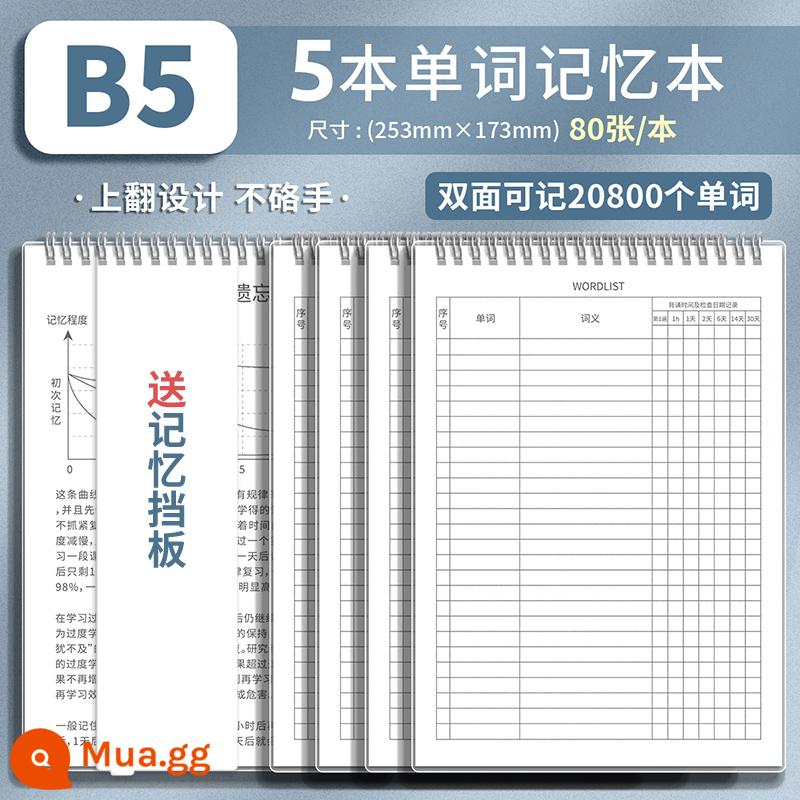 Bộ nhớ sách từ tiếng Anh Đường cong trí nhớ Ebbinghaus sinh viên đại học kỳ thi tuyển sinh sau đại học chính tả viết ghi nhớ hiện vật sổ ghi chép từ mới bốn cấp sáu cấp Nhật Bản khuyến mãi đặc biệt từ vựng trường trung học cơ sở trường trung học phổ thông đã quên - 5 cuộn [B5] với tổng cộng 800 trang • Bao gồm 5 vách ngăn bộ nhớ