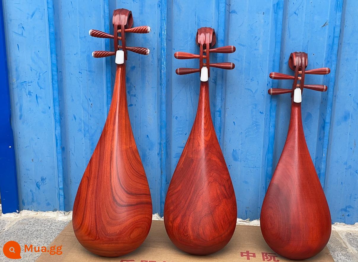 Minyin pipa Qin Children Medium Người lớn Người mới bắt đầu Bắt đầu Redwood Rosewood Pippi Pippi Nhạc cụ - Pipa trung bình bằng gỗ hồng mộc (Mức độ hiệu suất)