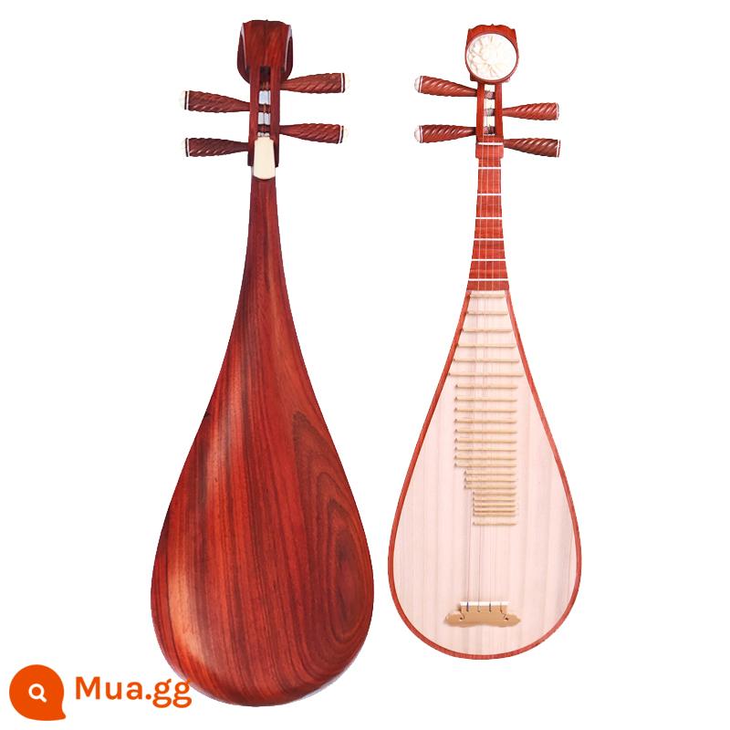 Minyin pipa Qin Children Medium Người lớn Người mới bắt đầu Bắt đầu Redwood Rosewood Pippi Pippi Nhạc cụ - Pipa gỗ hồng sắc cho người lớn (Cấp độ hiệu suất)