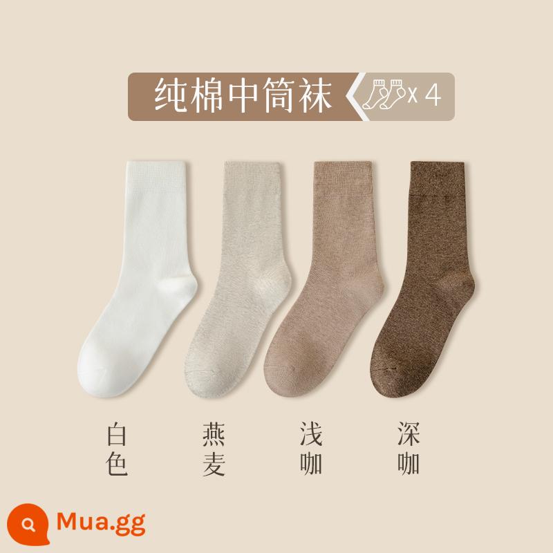 Vớ nữ mùa thu đông cotton nguyên chất ống giữa vớ đồng màu khử mùi nữ vớ ấm mùa đông đen trắng mùa đông ống dài - [Phong cách hình ảnh chính đồng màu] B trắng + bột yến mạch + cà phê nhạt + cà phê đậm (thu thập và mua để có được hai cặp cùng kiểu, tổng cộng có 6 cặp!)