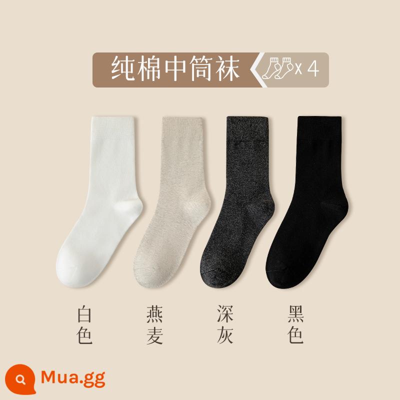 Vớ nữ mùa thu đông cotton nguyên chất ống giữa vớ đồng màu khử mùi nữ vớ ấm mùa đông đen trắng mùa đông ống dài - [Phong cách hình ảnh chính đồng màu] C trắng + bột yến mạch + xám đậm + đen (thu thập và mua để có được hai cặp cùng kiểu, tổng cộng có 6 cặp!)