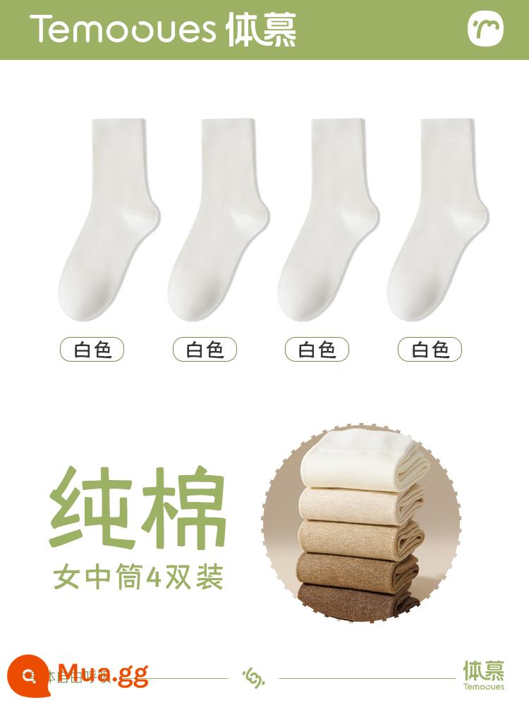 Tất trắng nữ mùa xuân thu, tất cotton nguyên chất thấm mồ hôi, tất không xương, tất nữ mùa thu đông - [Gói 4 đôi chống vón không xương] 4 đôi màu trắng