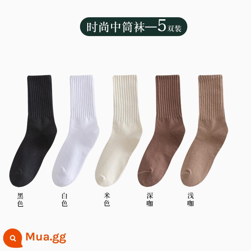 Vớ nữ ống giữa thu đông ins thủy triều kèm quần cá mập áo khoác ngoài ống dài vớ cotton không xương Plus nhung dày dặn mùa đông - Người bán hàng khuyên dùng cotton chải kỹ - đen + trắng + be + cà phê đậm + cà phê nhạt