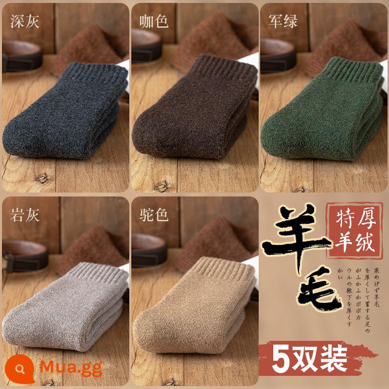 Tất len nam dày tất nam mùa đông Đông Bắc Plus nhung siêu dày ấm giữa ống cotton cashmere cực dày mùa đông - Xám đậm + cà phê + xanh quân đội + xám đá + lạc đà