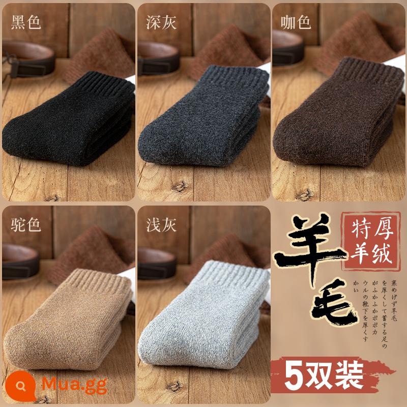 Tất len nam dày tất nam mùa đông Đông Bắc Plus nhung siêu dày ấm giữa ống cotton cashmere cực dày mùa đông - Đen + xám đậm + nâu + lạc đà + xám nhạt