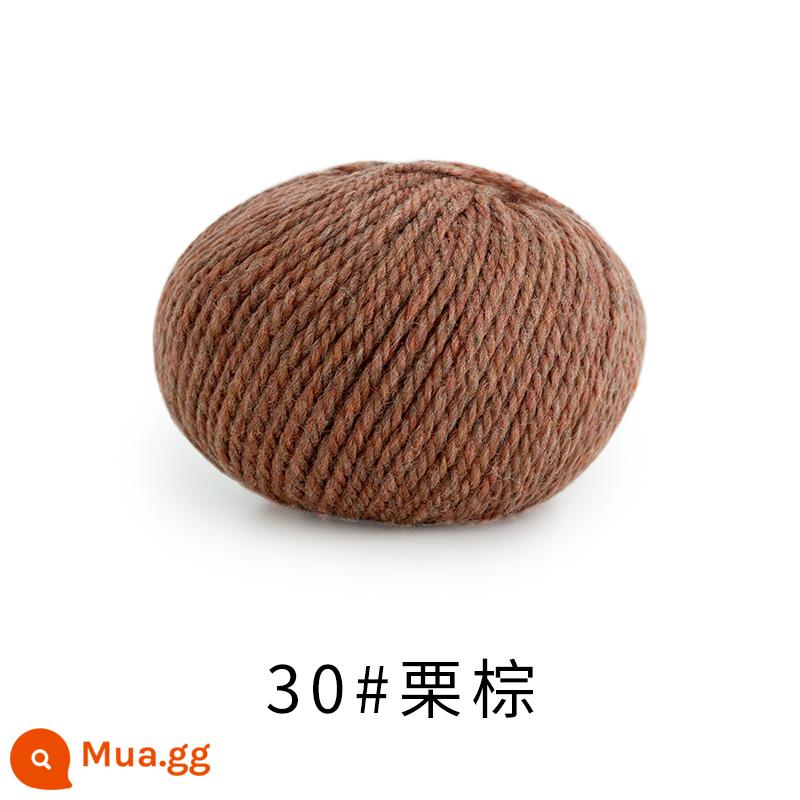 Chị Susu nhà Morandi 8 # Sợi len merino Úc handmade DIY dệt kim khăn mũ len bóng - 30# màu nâu hạt dẻ