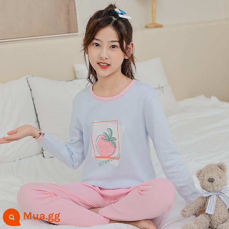 Quần áo mùa thu vệ sinh quần cotton nguyên chất của phụ nữ phù hợp với học sinh trung học cơ sở cotton bé gái sưởi ấm quần áo trung và lớn bé trai và bé gái áo len cotton mỏng - [Mẫu nâng cấp, chất lượng tốt hơn] Dâu xanh