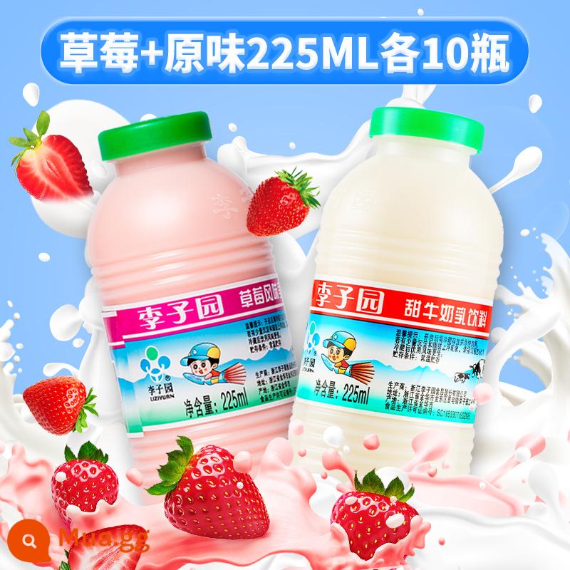 Sữa ăn sáng có đường Plum Garden hộp nhỏ 225ml sữa ngọt nguyên vị dâu Sữa uống trẻ em ưu đãi đặc biệt - Hương vị gốc 225ml*10 chai + dâu tây 225ml*10 chai