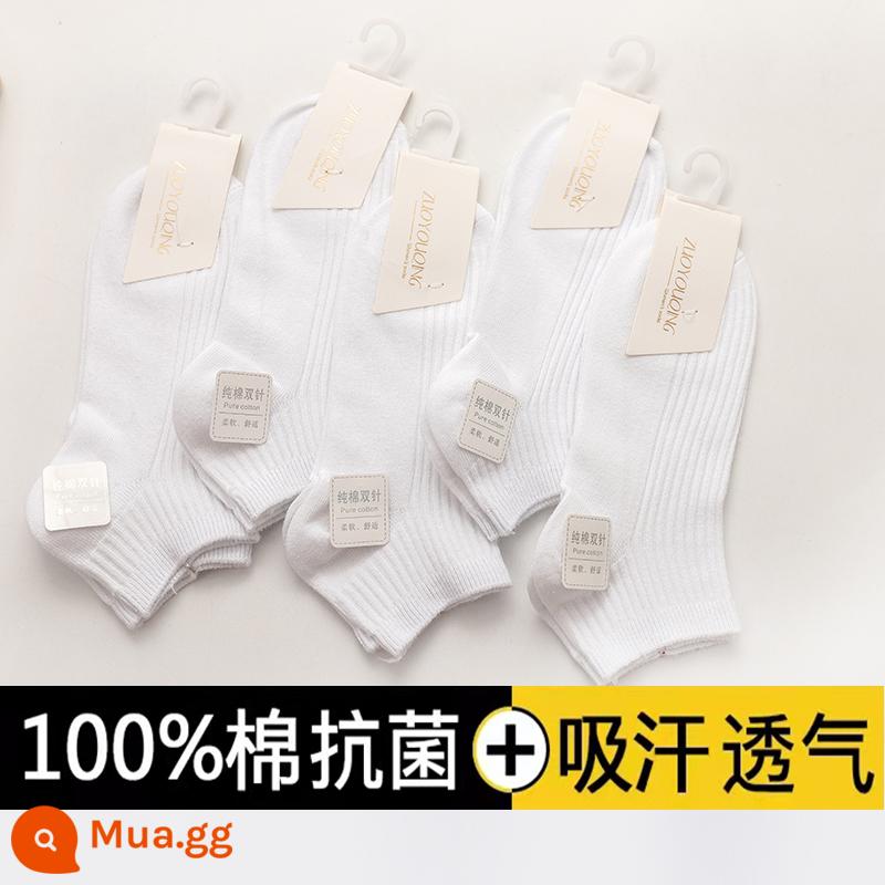 Tất cotton nguyên chất cho nam mùa thu đông vớ giữa ống kháng khuẩn khử mùi cotton thấm hút mồ hôi mùa đông màu đen công sở nam vớ - 5 đôi [ống ngắn] màu trắng