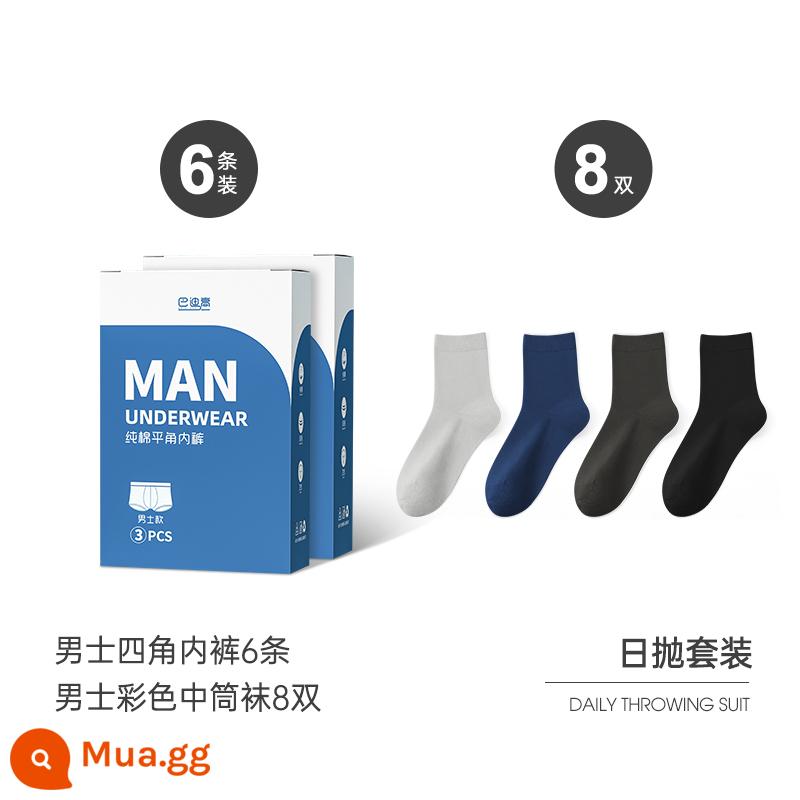 Đồ lót dùng một lần nam boxer cotton nguyên chất tiệt trùng đồ dùng du lịch nam bốn góc kích thước lớn dùng một lần hàng ngày quần đùi dùng một lần - Bộ vest [kiểu vuông * 6 chiếc + tất dài đến bắp chân cho nam * 8 đôi]