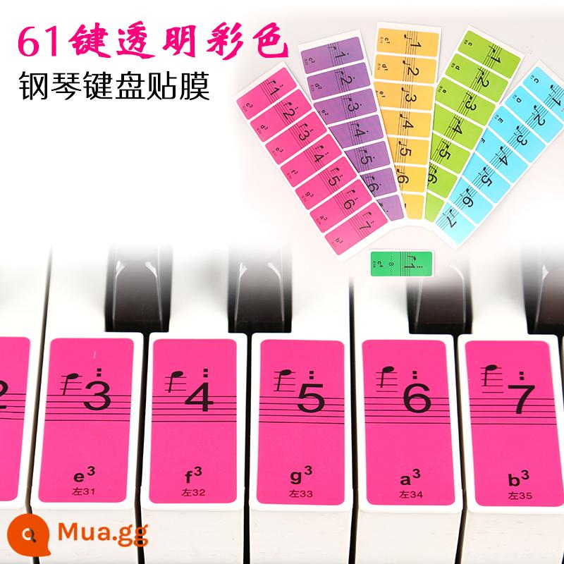 Miếng dán bàn phím điện tử piano trong suốt ký hiệu phiên âm 88 phím 61 54 phím tự học bài kiểm tra nhân viên tự học - Miếng dán bàn phím màu 54/61 không có miếng dán phím màu đen