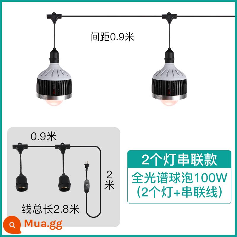 Mọng Nước Lấp Đầy Ánh Sáng Suốt Bóng Đèn Downlight Đặc Biệt Hộ Gia Đình Tô Màu Trong Nhà Giả Mặt Trời Tăng Trưởng Thực Vật Đèn - Bóng đèn tập trung ánh sáng toàn phổ 100w* (2 đèn nối tiếp)