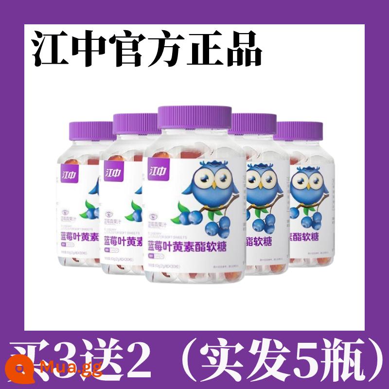 Jiangzhong Blueberry Lutein Ester Gummy Trẻ em Người lớn Người trung niên và Người cao tuổi Viên nén Cận thị Không nhập khẩu Bằng sáng chế Chính thức Xác thực - Màu tím