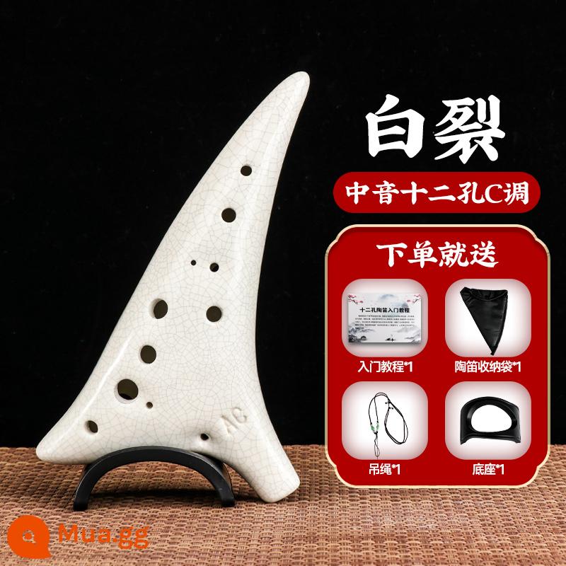 Nhạc cụ Ocarina 12 lỗ dành cho người mới bắt đầu Alto AC học sinh trẻ em chống rơi nhựa Ocarina C-Tune nhạc cụ - [Mẫu dành cho người mới bắt đầu] Dàn AC tầm trung màu trắng + Gói quà tặng