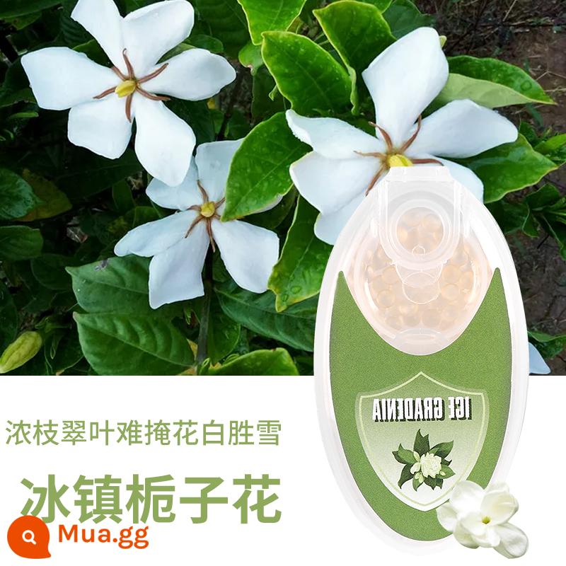 Hạt ngọn đuốc nổ hạt buồn bã hạt tươi - Iced Gardenia 100 viên/hộp [Mua 1 tặng 1, mua nhiều tặng thêm]