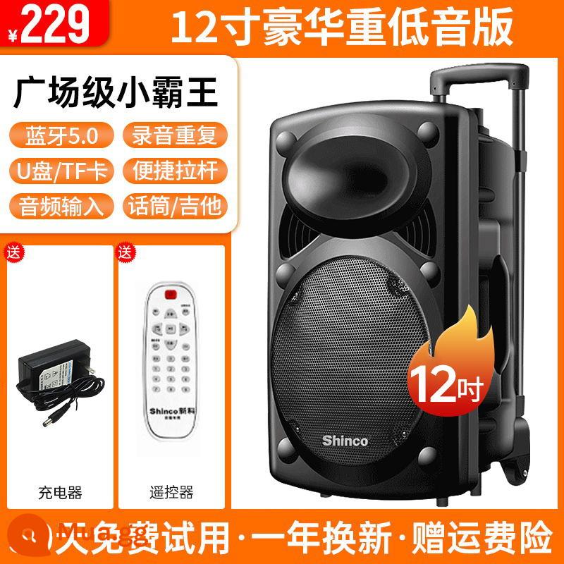 Xinke Vuông Vũ Âm Thanh Karaoke Ngoài Trời Di Động Đòn Bẩy Loa Bluetooth Có Mic Hát Loa Siêu Trầm Hiệu Suất - Loa siêu trầm hàng đầu 12 inch + điều khiển từ xa