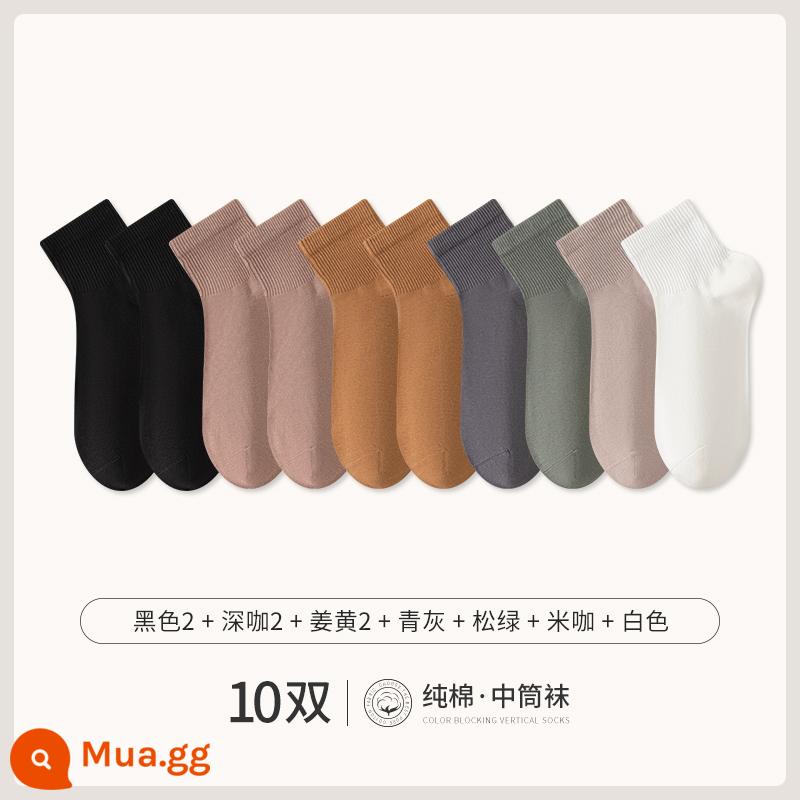 Chư Kỵ Trắng Tất Ngắn Nam Cotton Giữa Ống Tất Mùa Hè Phần Mỏng Đồng Màu Không Xương Khử Mùi Thể Thao Mùa Thu Vớ - [10 đôi] đen 2 cà phê đậm 2 củ nghệ 2 xanh xám thông xanh gạo cà phê trắng