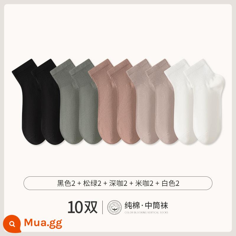 Chư Kỵ Trắng Tất Ngắn Nam Cotton Giữa Ống Tất Mùa Hè Phần Mỏng Đồng Màu Không Xương Khử Mùi Thể Thao Mùa Thu Vớ - [10 đôi] đen 2 xanh thông 2 cà phê đậm 2 cà phê gạo 2 trắng 2