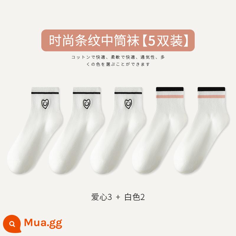 Tất Zhuji Tất Nữ Xuân Thu Giữa Ống Tất Cotton Nguyên Chất Maillard Sọc Bong Bóng Tất Plus Nhung Mùa Đông dày Tất Dài - [5 Đôi Tất] Yêu 3 Trắng 2