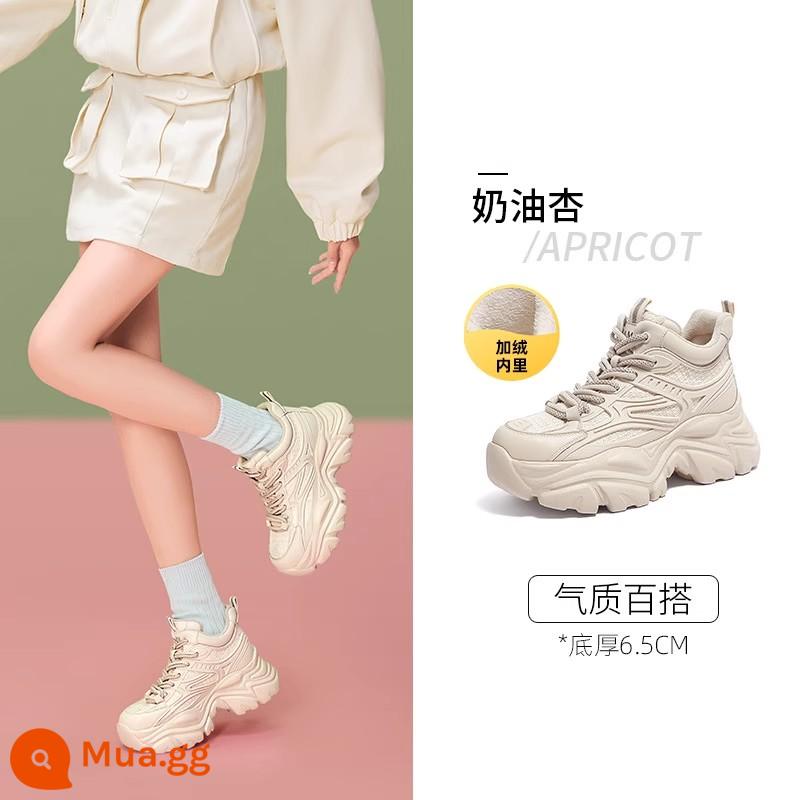 Giày Camel Nữ Mùa Đông 2023 Mới Sang Trọng Bố Giày Nữ Đế Dày Thể Thao Giày Vải Cotton Nữ giày Cao Cổ Đi Tuyết - L23W283162, mai, nhung mỏng