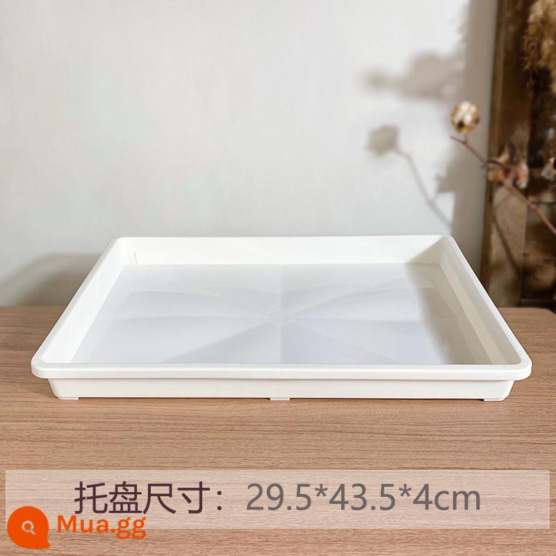 3.5 miệng chậu trắng ấm mini mọng nước chậu hoa nhỏ nhựa ngón tay cái nồi mọng nước nồi đặc biệt nguyên đá hoa thịt nón nồi - Khay lật - 3 chiếc, chứa được 70 chậu 3,5 miệng