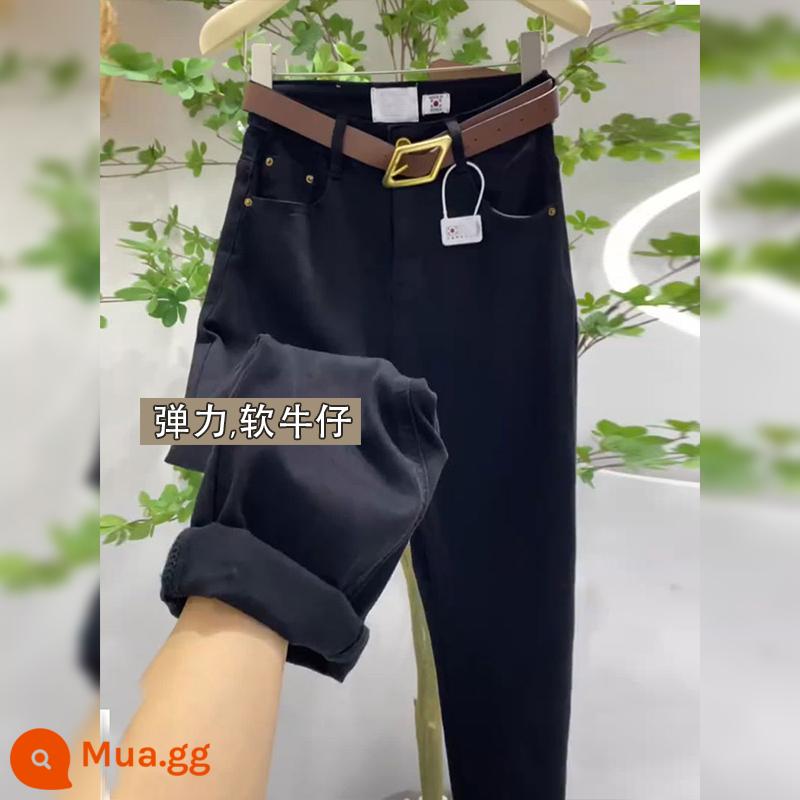 Quần jeans nữ màu xanh đậm, phong cách mới mùa thu, size lớn, dáng quả lê, co giãn, giảm béo, lưng cao, quần bố harem chín điểm - Đen 9952