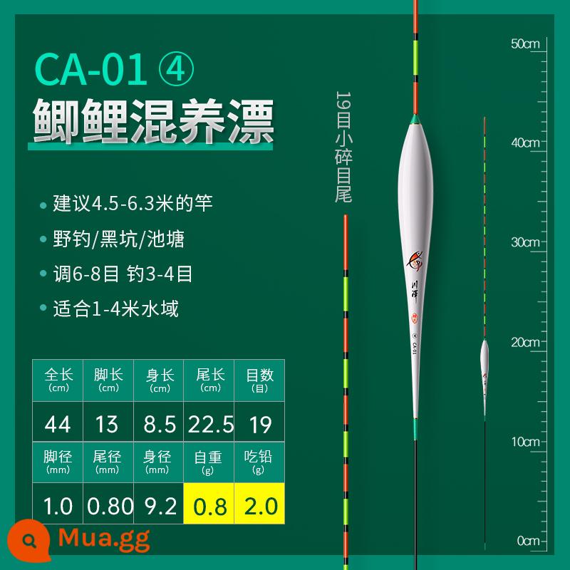 Chuanze mùa xuân câu cá ánh sáng miệng nhỏ bị phá vỡ mắt cá diếc phao nổi nano độ nhạy cao bắt mắt phao chống gió và sóng chống trôi nước - [Số 4] Ăn chì ≈ 2,0 gam, câu cá hoang dã toàn diện (19 lưới, lưới đứt, đuôi mỏng)