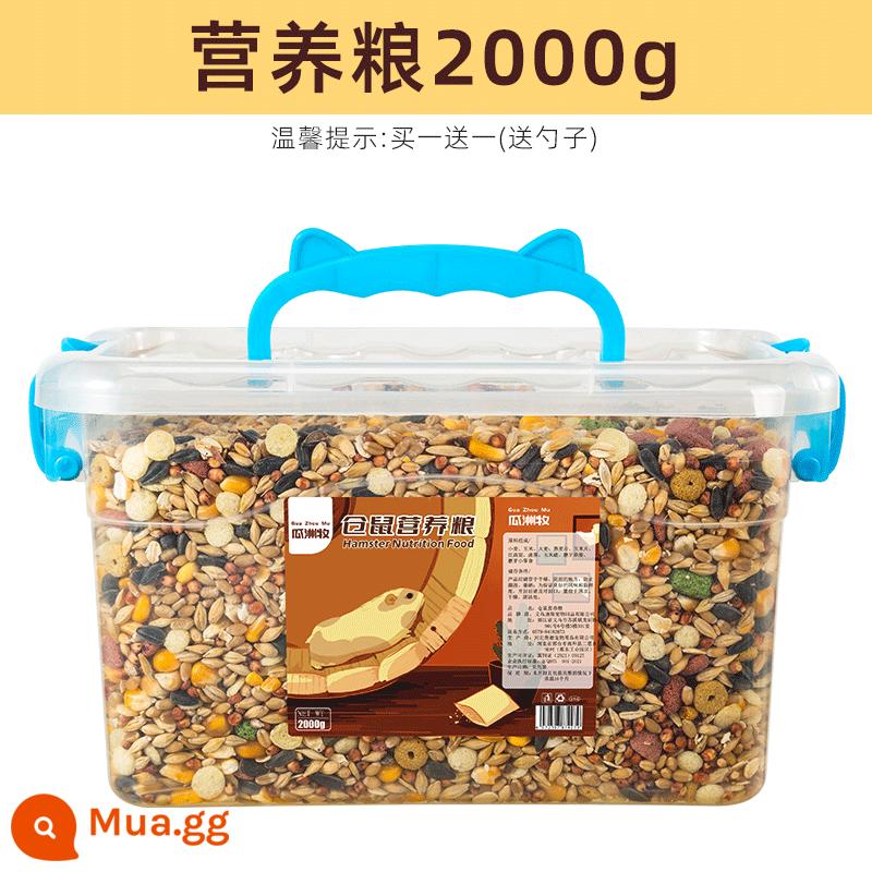 Thức ăn cho hamster gấu vàng dinh dưỡng thức ăn chủ yếu thức ăn sâu bánh mì hải sản các loại hạt cung cấp đầy đủ đồ ăn nhẹ nhỏ 1200ml - Thùng thực phẩm dinh dưỡng siêu lớn 4001ml