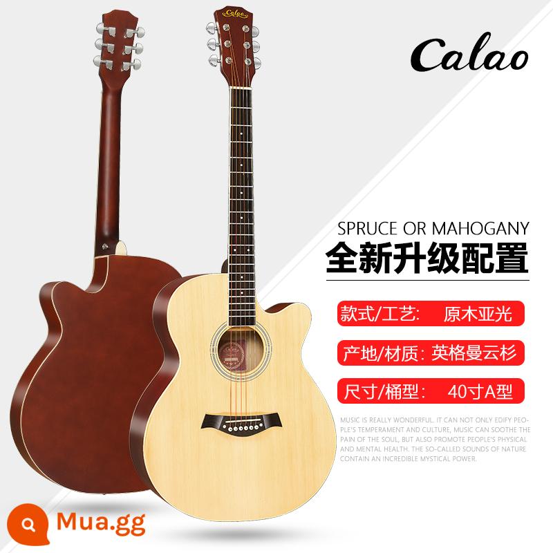 Calleo 41 inch veneer guitar sinh viên nữ nam dân gian acoustic Đàn guitar lưới 40 inch màu đỏ họa tiết cá tính nhạc cụ - [Veneer] Gỗ 40 inch + phụ kiện + bộ chỉnh + hướng dẫn