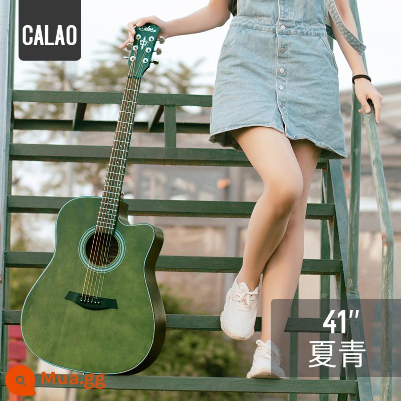 Calleo 41 inch veneer guitar sinh viên nữ nam dân gian acoustic Đàn guitar lưới 40 inch màu đỏ họa tiết cá tính nhạc cụ - [Bảng đơn] Xia Qing 41 inch + phụ kiện + bộ chỉnh + hướng dẫn