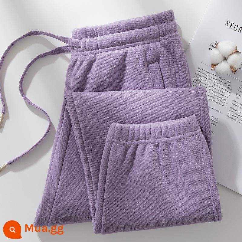 Quần cotton thể thao nữ xuân thu 2024 mới màu xám nhạt cotton cỡ lớn thường ngày mùa đông nhung quần legging dài thấm hút mồ hôi - Màu tím (quần nhung)