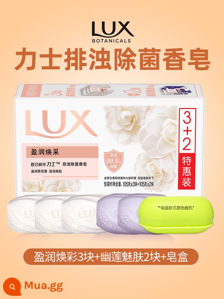 Xà phòng lux tinh dầu hoa hồng trẻ hóa da lâu dài Youlian charm skin xà phòng ẩm mượt nam nữ tắm rửa mặt - [Tổng cộng 5 miếng] 3 miếng dưỡng ẩm và rạng rỡ da + 2 miếng Youlian Charming Skin + hộp xà phòng