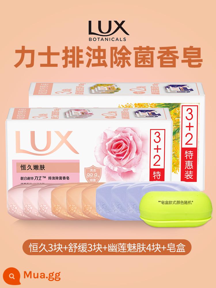 Xà phòng lux tinh dầu hoa hồng trẻ hóa da lâu dài Youlian charm skin xà phòng ẩm mượt nam nữ tắm rửa mặt - [Tổng cộng 10 miếng] Lâu trôi 3 miếng + Làm dịu 3 miếng + Youlian 4 miếng + Hộp xà phòng