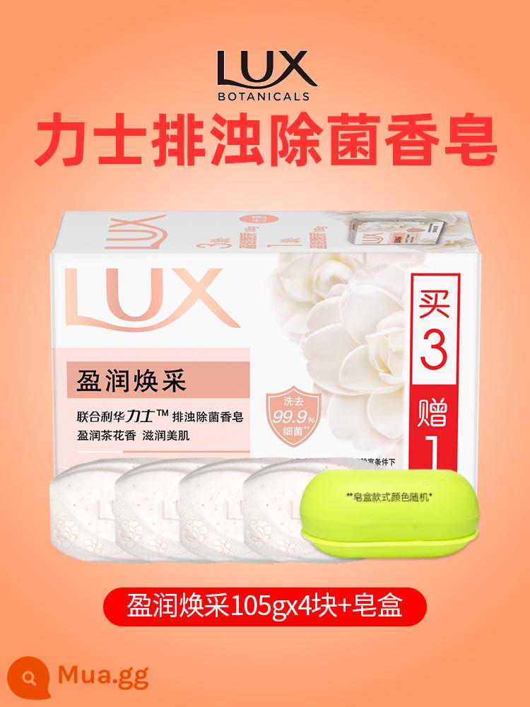 Xà phòng lux tinh dầu hoa hồng trẻ hóa da lâu dài Youlian charm skin xà phòng ẩm mượt nam nữ tắm rửa mặt - [Tổng cộng 4 miếng] 4 miếng kem dưỡng ẩm rạng rỡ + hộp xà phòng