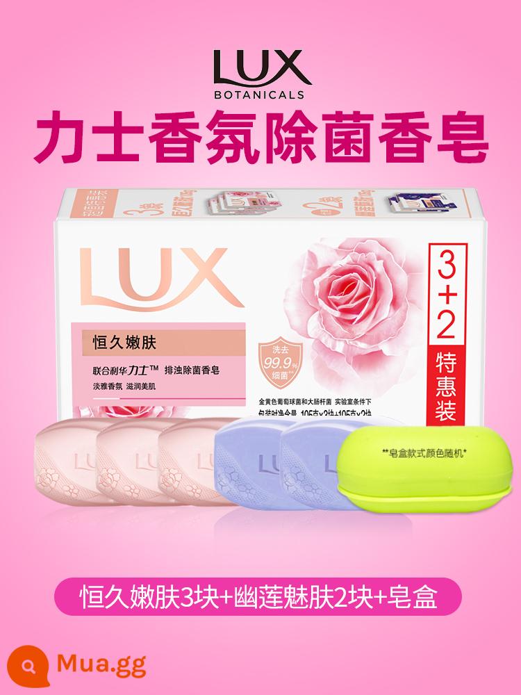 Xà phòng lux tinh dầu hoa hồng trẻ hóa da lâu dài Youlian charm skin xà phòng ẩm mượt nam nữ tắm rửa mặt - [Tổng cộng 5 miếng] Trẻ hóa lâu dài 3 miếng + Làn da quyến rũ Youlian 2 miếng + Hộp xà phòng