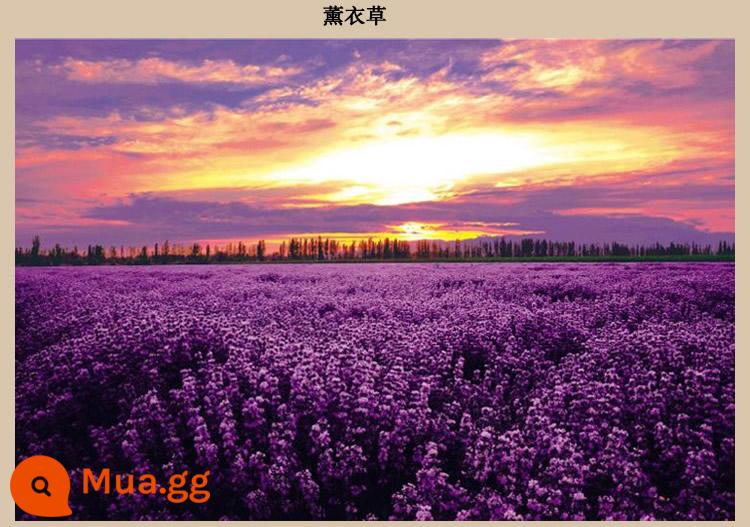 Qingming Shanghe Hình Xây Dựng Gỗ Xếp Hình 1000 Miếng Trưởng Thành Giải Trẻ Em Đồ Chơi Giáo Dục Bé Trai Và Bé Gái Quà Tặng Sinh Nhật - rượu vang