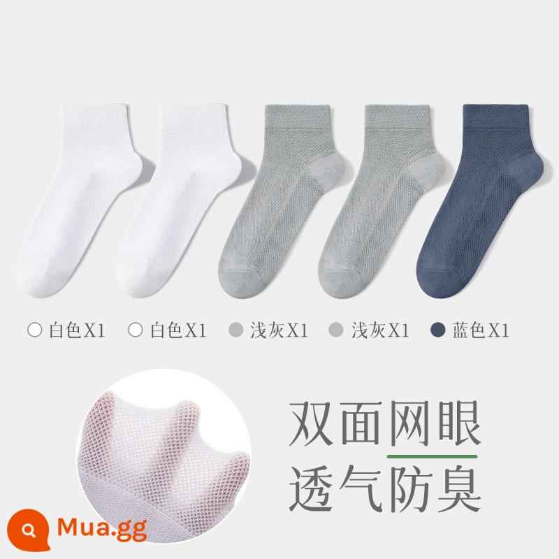 Tất nam mùa thu đông Tất dài đến bắp chân bằng cotton không nguyên chất, chống mùi, thấm mồ hôi Tất nam mỏng dạng lưới thoáng khí mùa hè Tất vô hình - [Cặp giữa ống 5] Trắng 2+Xám nhạt 2+Xanh 1