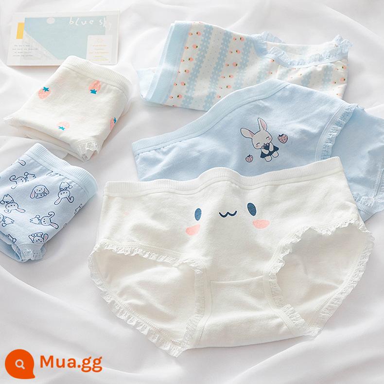 Quần lót cotton cho bé gái từ trung tuổi trở lên quần an toàn quần sịp cotton cho bé gái 100% cotton kháng khuẩn 12-15 tuổi - Bộ 5 Thỏ Cười Mới